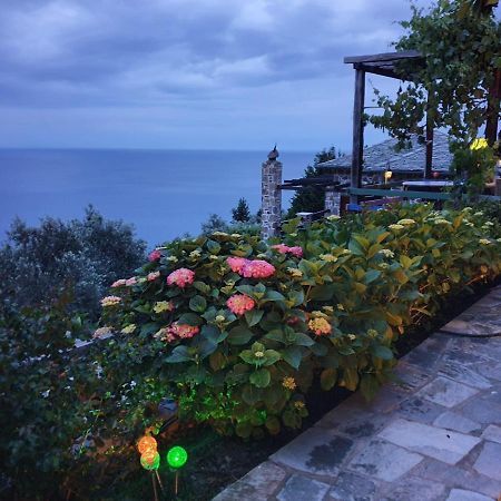 Analipsi Sea View Hommes Villa Zagora Exterior foto