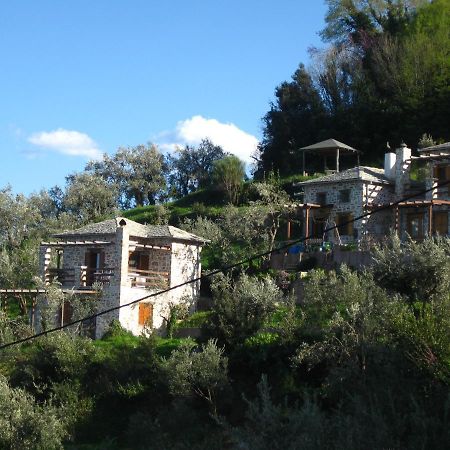 Analipsi Sea View Hommes Villa Zagora Exterior foto
