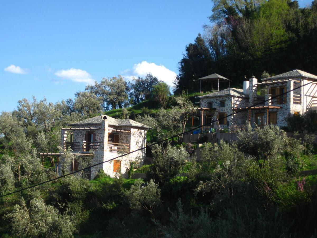 Analipsi Sea View Hommes Villa Zagora Exterior foto